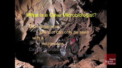 The Cave Microbiologist