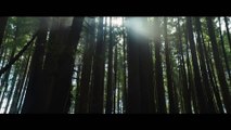 Pete's Dragon - Trailer
