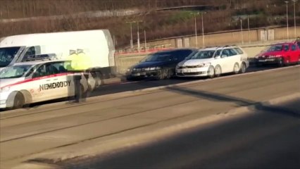 Un cygne perturbe le trafic en pleine heure de pointe à Prague