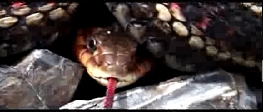 Booba - Comme les autres (Clip)