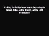 Read Walking the Bridgeless Canyon: Repairing the Breach Between the Church and the LGBT Community