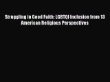 Read Struggling in Good Faith: LGBTQI Inclusion from 13 American Religious Perspectives Ebook