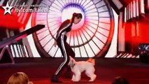Ashleigh and Pudsey - Britain's Got Talent 2012 Final - UK version
