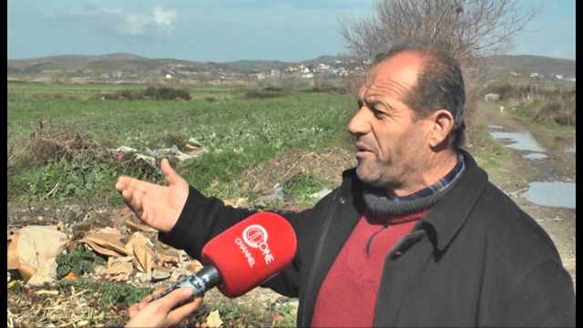 Prodhimet bujqësore. Divjake, nuk i shesin dot, fermerët i hedhin