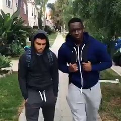 Black White Boyz And One Dog