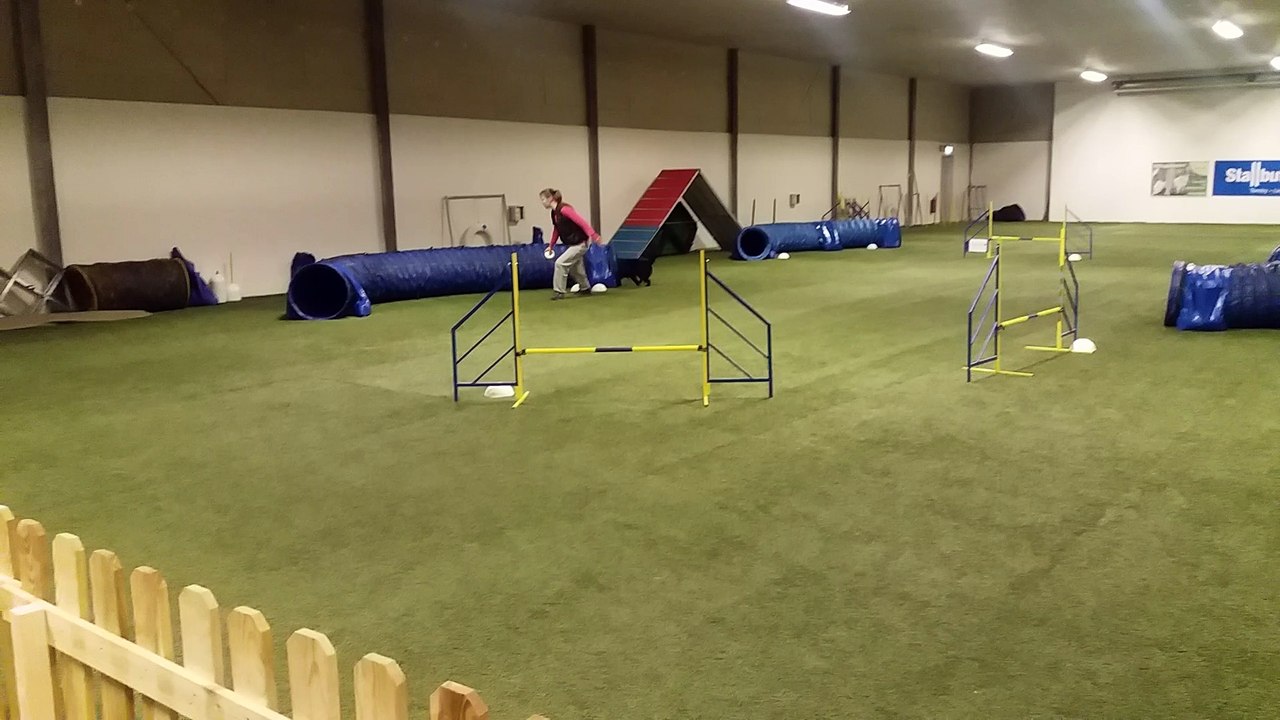 Bengt agility Linköping 20 feb
