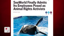 SeaWorld: We Sent Employees to Spy on PETA