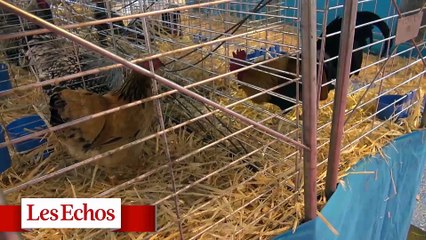 Miimosa.com : près d'un million d'euros levés via du financement participatif dans l'agriculture