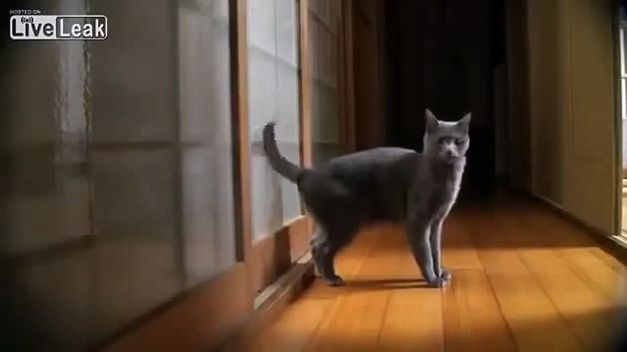 very funny clips funny audio clips