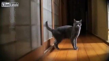 very funny clips funny audio clips