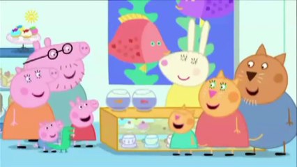 Top Peppa Pig English Episodes - The Aquarium - Georges Racing Car