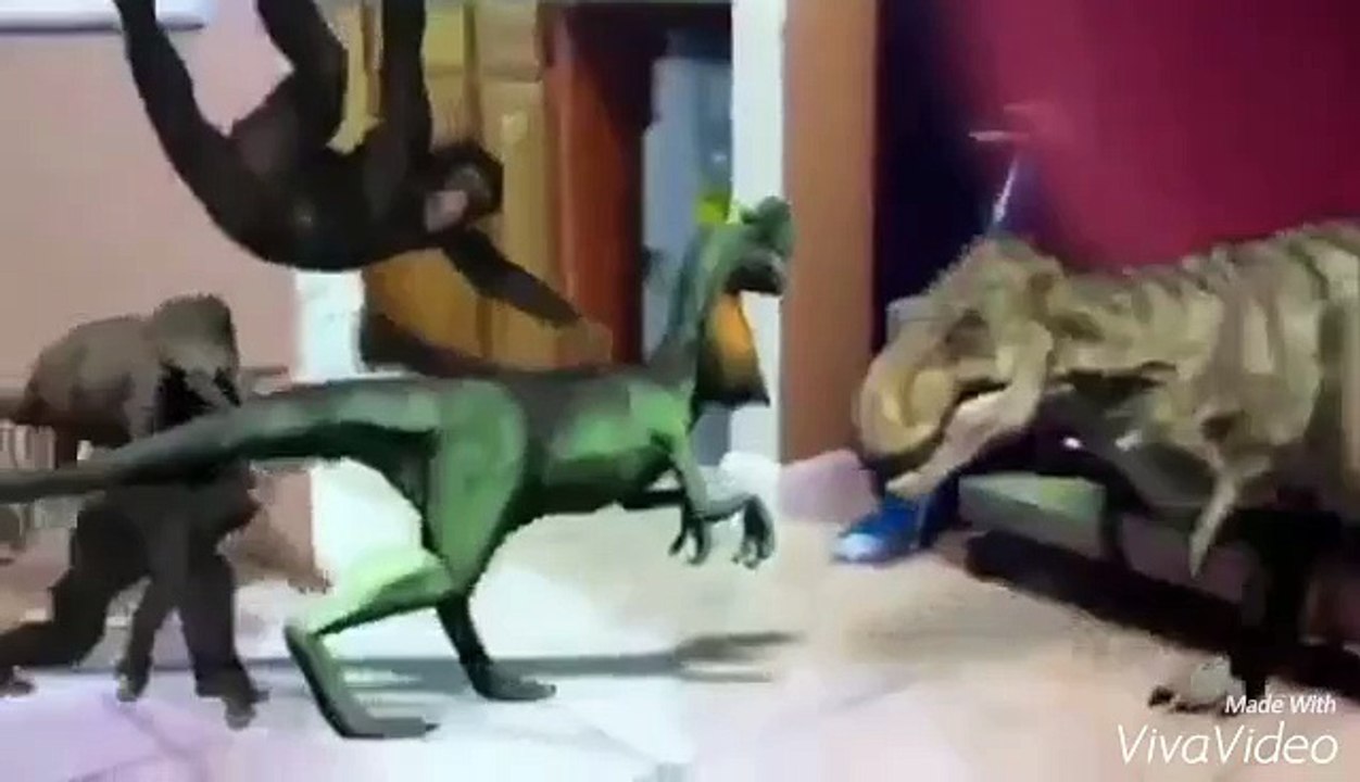 Transformers (2003) Bluecar vs Chimpanzee
