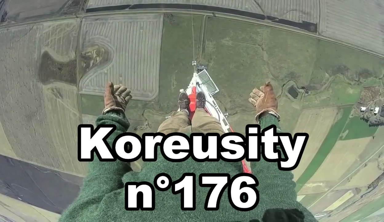 Koreusity n°176