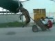 Ha Ha ! Donkey One Wheeling -Top Funny Videos-Top Prank Videos-Top Vines Videos-Viral Video-Funny Fails