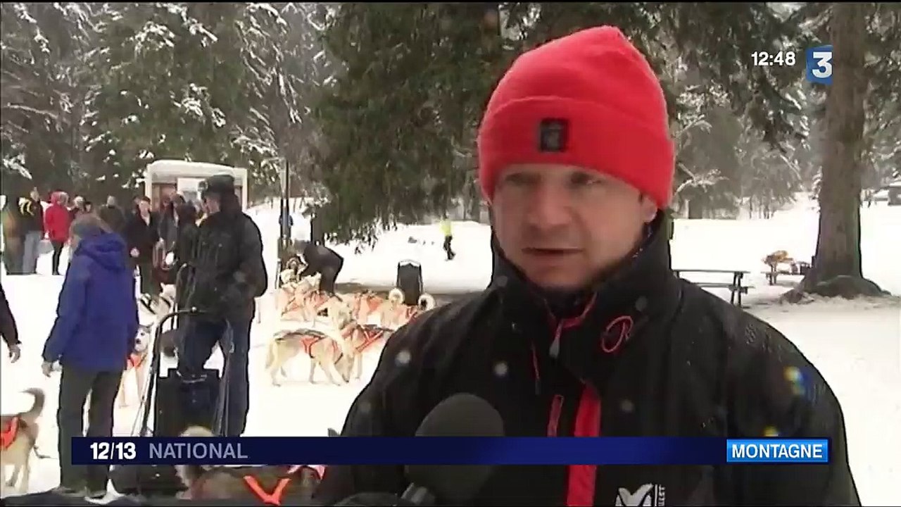 En Savoie, tout le monde peut conduire des chiens de traineaux