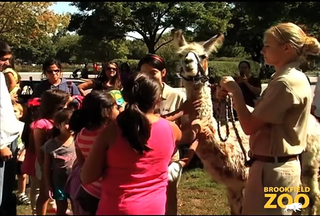 Fun at Fiesta para Todos!