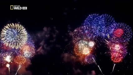 Nat Geo - Worlds Deadliest Animal Apocalypse