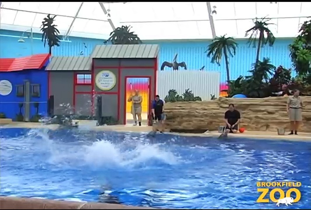 2012 Leap Day at Brookfield Zoo