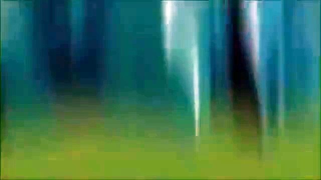 Happy New Year 2016 celebration New Year Funny Animation Cartoon