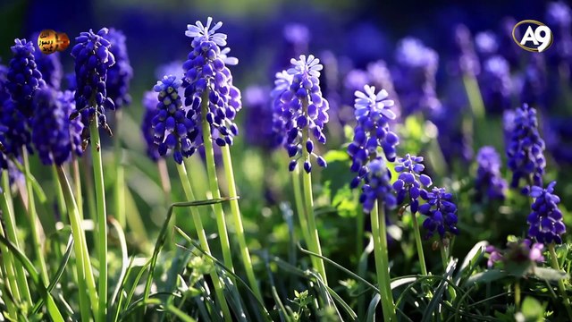 Bediüzzaman Hazretleri, ahir zamanın büyük Mehdisinin üç büyük vazifesinin olacağını ifade etmiştir