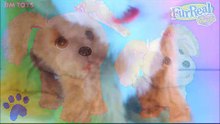 FURREAL FRIENDS Bouncy My Happy-To-See-Me Pup Figure Toy Dog Disney Magic Toys HD