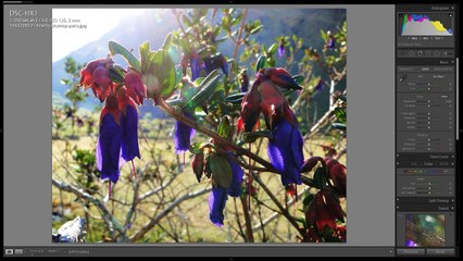 Tony & Chelsea LIVE: Backlit Photography, Photo News, Portfolio Reviews!