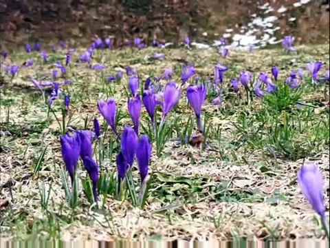 Emisiunea Radio-Tv Arthis din 26.02.2016/P2/ro.