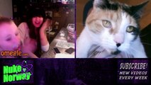 Scary Prank on Omegle 10 - Funny Cat Scare
