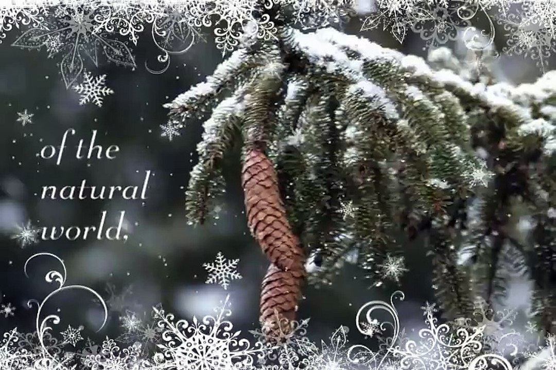 Happy Holidays from the Chicago Zoological Society