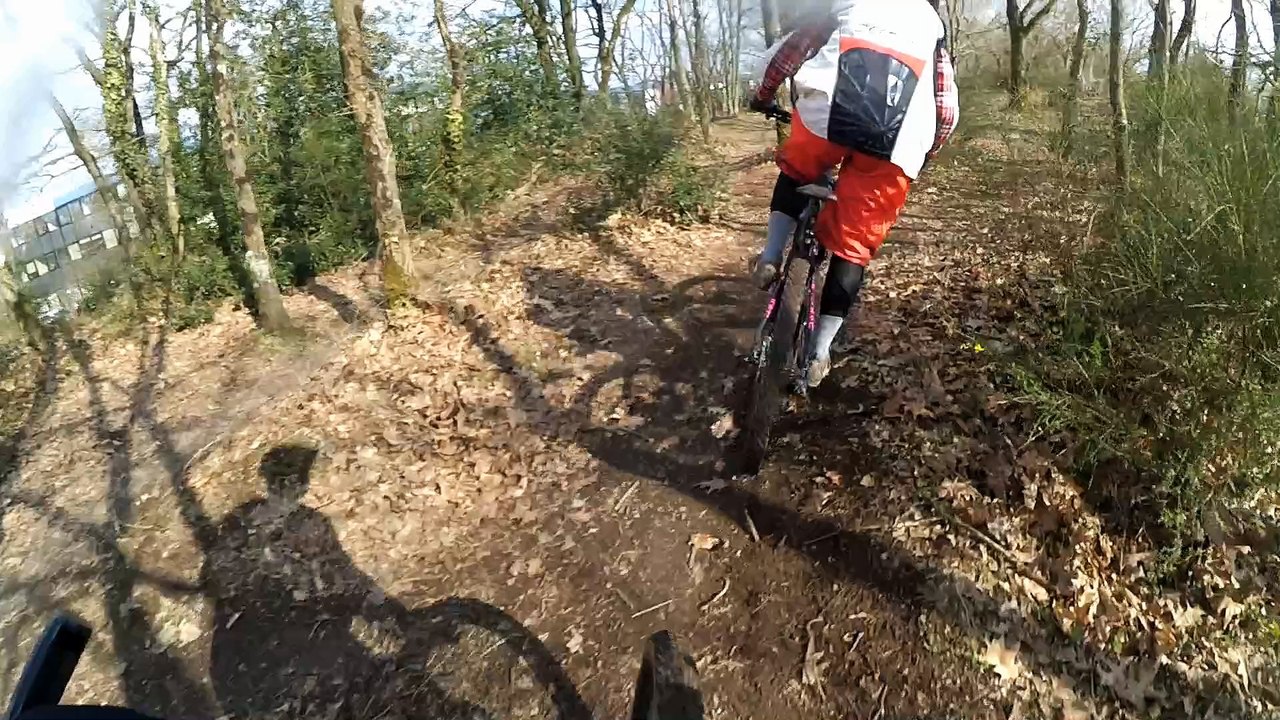 sortie avec david