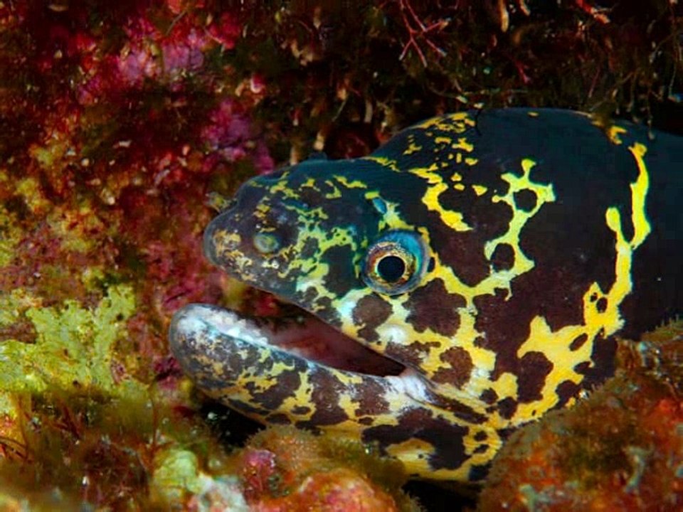 curacao slideshow