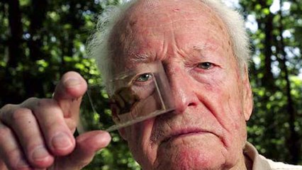 Top Ten People With The Highest IQs