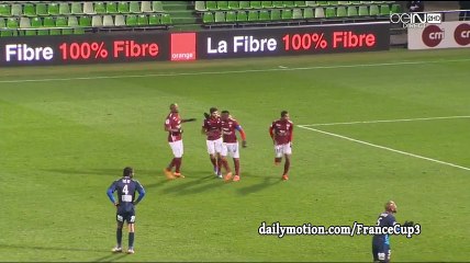 Habibou Diallo Goal HD - Metz 1-1 Brest  - 26-02-2016