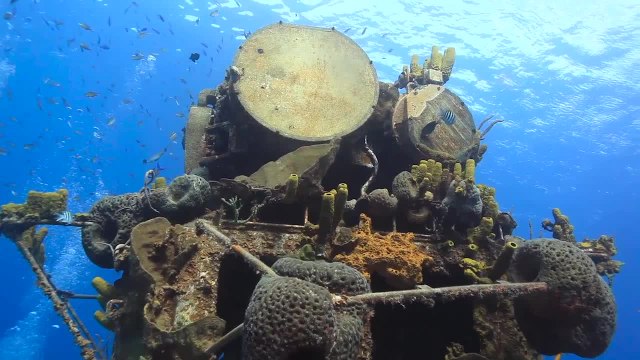 The Cayman Islands for Recreational Divers