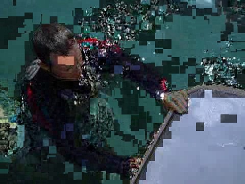 Malibu Wakesetter 23 LSV Ladder