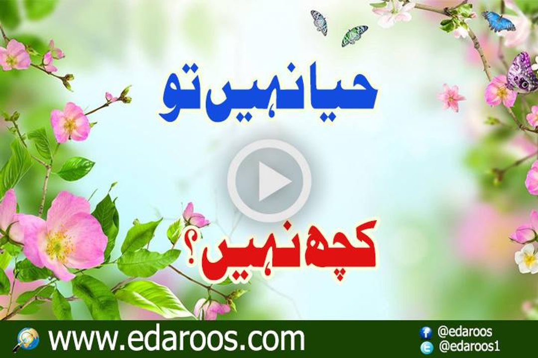 Haya Nahi To Kuch Nahi