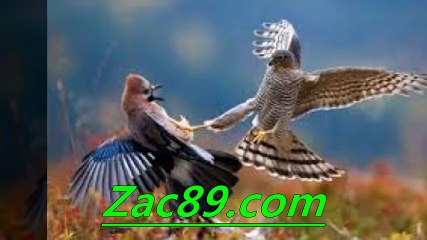 네임드달팽이  「→↑←」  Ｚａｃ８９．cｏｍ 「→↑←」   달팽이레이싱 ゅ 달팽이분석