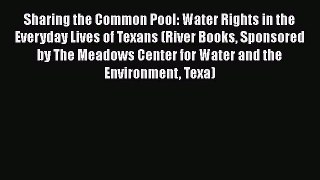 Download Sharing the Common Pool: Water Rights in the Everyday Lives of Texans (River Books