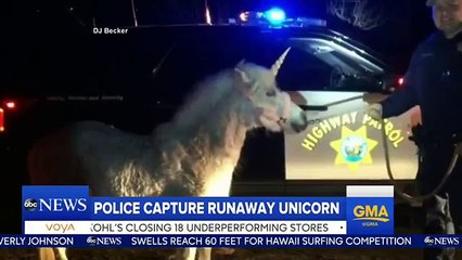 Police Capture a Runaway Unicorn (World Music 720p)