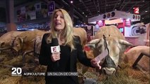 Salon de l agriculture : des éleveurs en colère s en prennent au stand charal