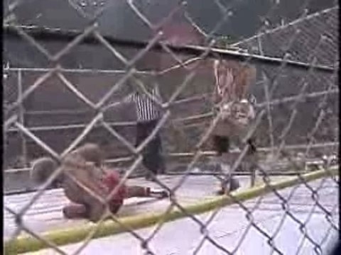 Rick Steiner vs. Arn Anderson & Paul E. Dangerously.
