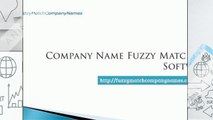 Company Name Matching Software