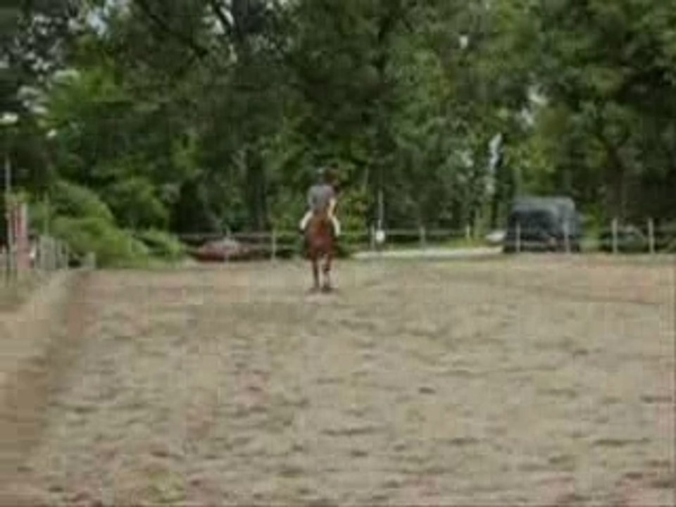 Galop 6