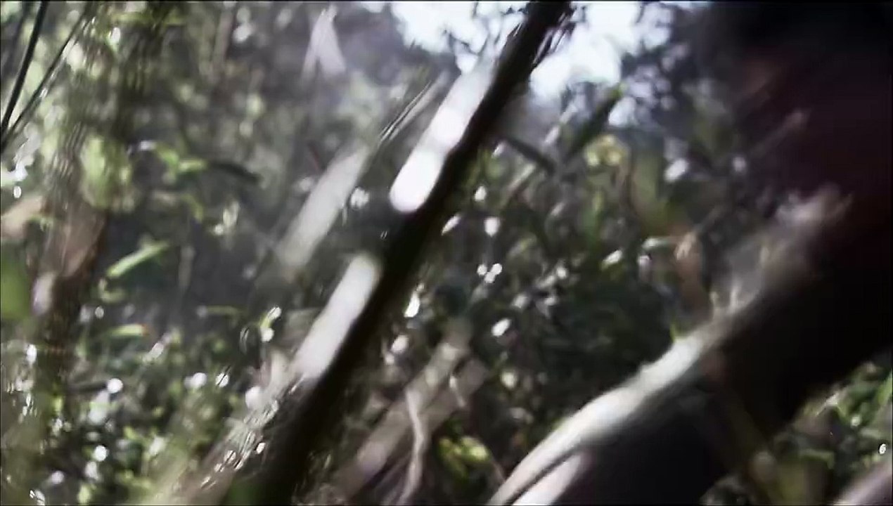 生死线37