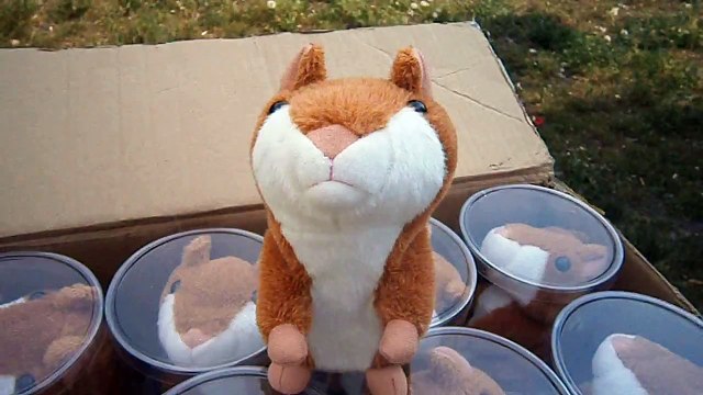 Прибытие партии ГОВОРЯЩИЙ ХОМЯК В НАЛИЧИИ в Киеве