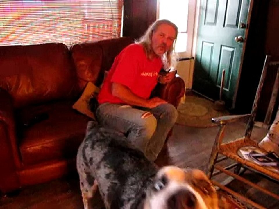 Our talking-singing Catahoula Leopard Dog