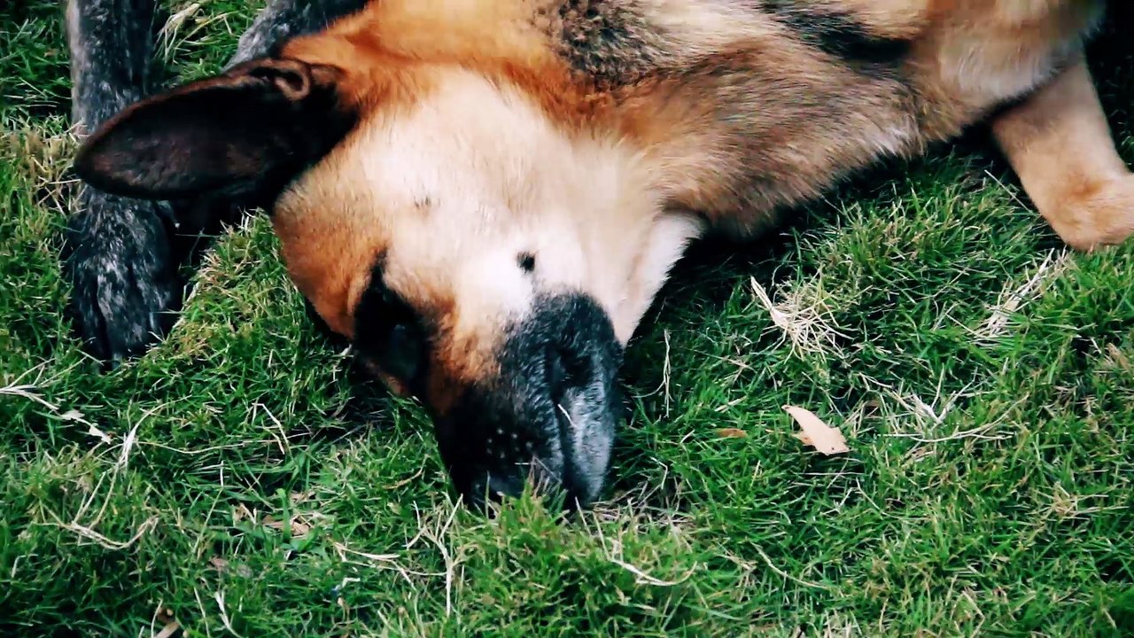 Marian Valero Amor por los más vulnerables Vídeo Dailymotion