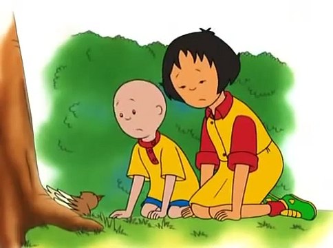 Caillou El Pajarito Discovery kids latino en español latino
