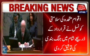 The United Nations Has Endorsed The Ceasefire In Syria