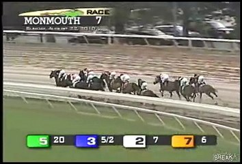 Horse Race With Funny Names